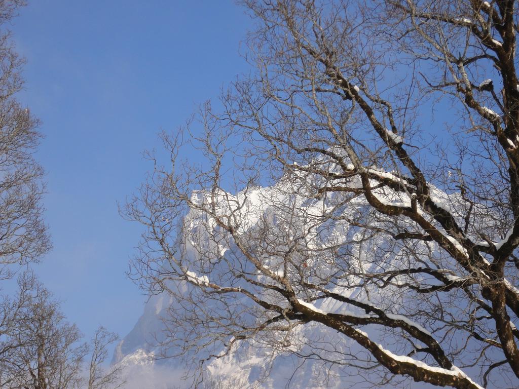 Hostel Lehmann's Grindelwald