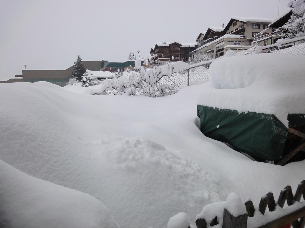 Hostel Lehmann's Grindelwald