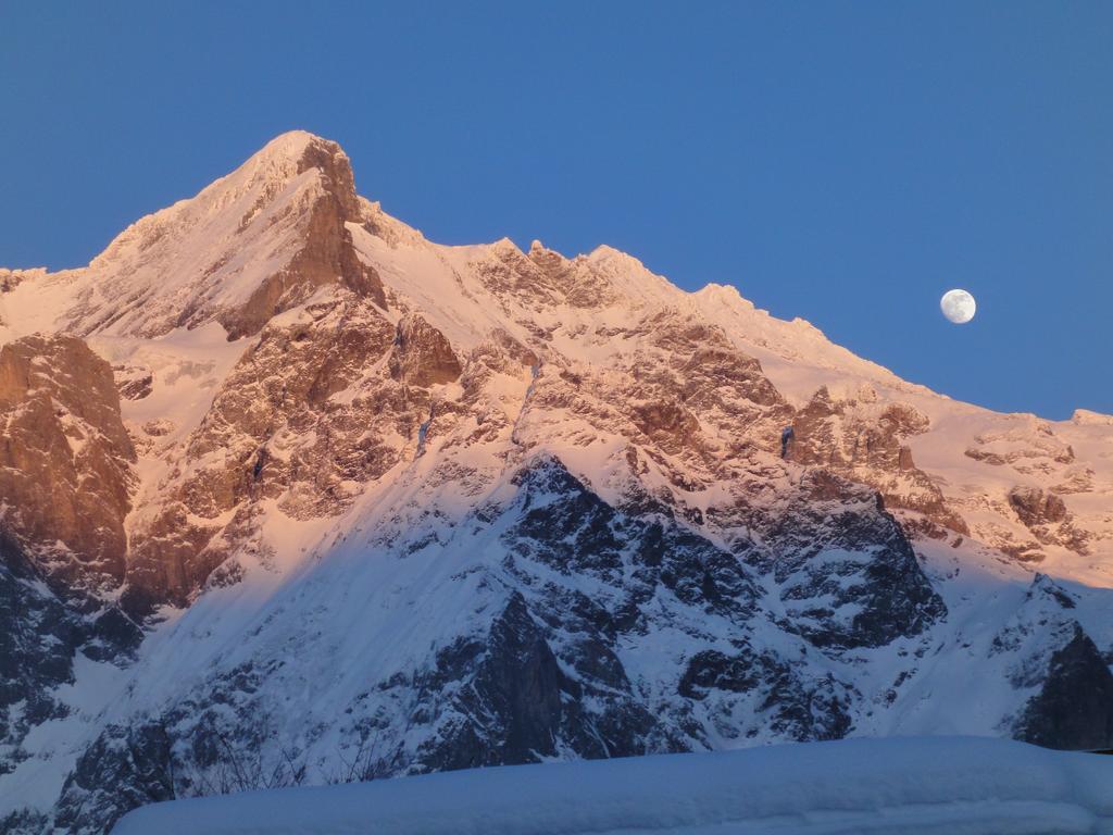 Hostel Lehmann's Grindelwald